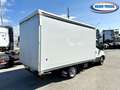 Iveco Daily 35c160 Centina Registrabile Weiß - thumbnail 5
