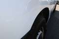 Ford Transit Custom Kasten 250 L1 City Light AHK Weiß - thumbnail 16
