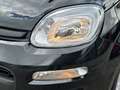 Fiat Panda 1.0 firefly hybrid s&s 70cv 5p.ti Nero - thumbnail 7