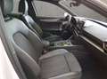 CUPRA Leon Sportstourer 1.5 eTSI 7-Gang Tiptronic Wit - thumbnail 17