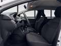 Dacia Jogger Essential TCe 110 7-Sitzer Weiß - thumbnail 15