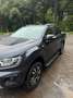 Ford Ranger Ranger Pick Up 4x4 TDCi Extra 2,0 l TDCi Wildtrak Grau - thumbnail 14