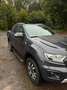 Ford Ranger Ranger Pick Up 4x4 TDCi Extra 2,0 l TDCi Wildtrak Grau - thumbnail 12