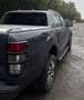 Ford Ranger Ranger Pick Up 4x4 TDCi Extra 2,0 l TDCi Wildtrak Grau - thumbnail 9