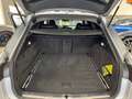 Audi A6 Avant 2.0 tdi quattro 190cv SED.RS s-tronic S-LINE Argento - thumbnail 14