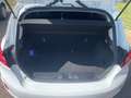 Ford Fiesta Fiesta 1.5 TDCi 5 porte Titanium Blanc - thumbnail 16