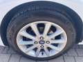 Ford Fiesta Fiesta 1.5 TDCi 5 porte Titanium Bianco - thumbnail 7
