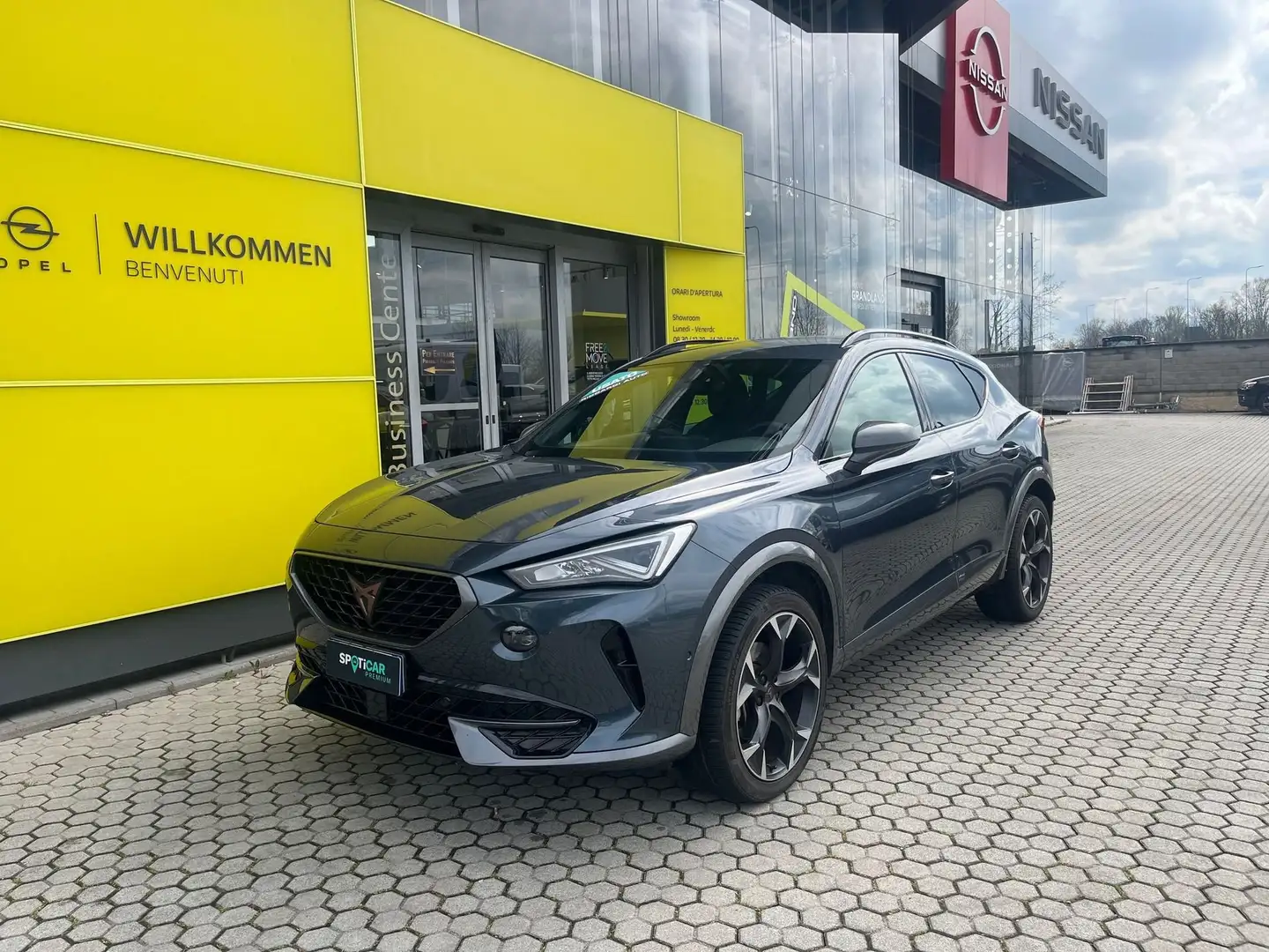 CUPRA Formentor 2.0 TDI 4Drive DSG Grigio - 1