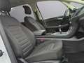 Ford Galaxy Galaxy 2,0 EcoBlue Titanium*7 SITZER*RFK*KREDIT Weiß - thumbnail 17