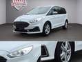 Ford Galaxy Galaxy 2,0 EcoBlue Titanium*7 SITZER*RFK*KREDIT Weiß - thumbnail 9