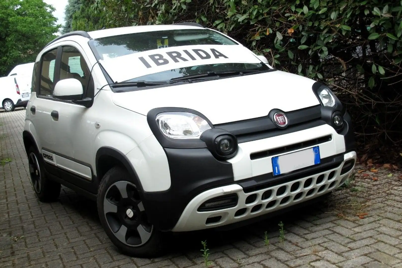 Fiat Panda Cross 1.0 FireFly S&S Hybrid CITY CROSS Wit - 1