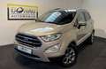 Ford EcoSport 1,0 EcoBoost Titanium * Kamera * Navi * Tempoma... Beige - thumbnail 1