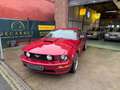 Ford Mustang 350 GT 4,6 V8 boîte mécanique Rojo - thumbnail 11