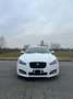 Jaguar XF Rsport 2.2 190cv Bianco - thumbnail 9