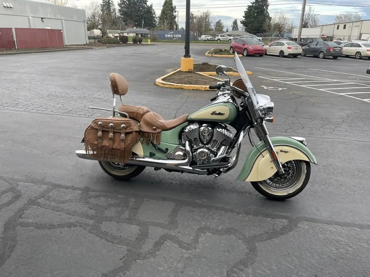 Indian Chief Chief® Vintage Willow Green / Ivory Cream Verde - 2