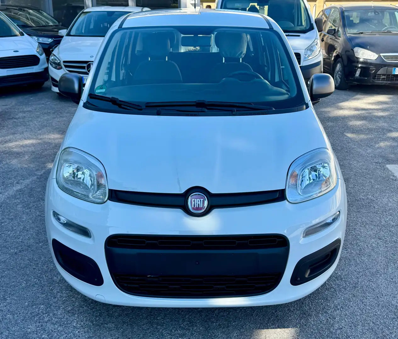 Fiat Panda 1.2 Young 69cv Euro6 Bianco - 2