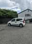 Fiat Qubo 1.4 9V Alb - thumbnail 4
