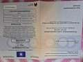Fiat Qubo 1.4 9V Blanc - thumbnail 3