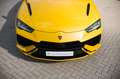 Lamborghini Urus S - Carbon, 4-Sitz, B & O, HUD, Pano-Dach Gelb - thumbnail 14