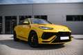 Lamborghini Urus S - Carbon, 4-Sitz, B & O, HUD, Pano-Dach Gelb - thumbnail 2