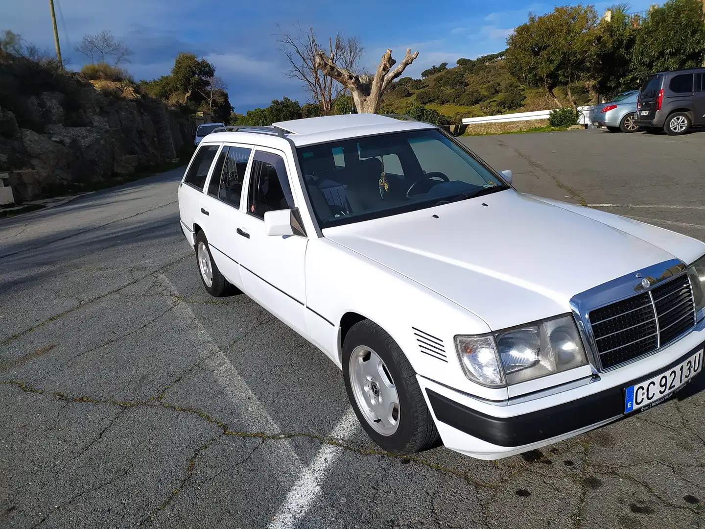 Mercedes-Benz 250 250TD Alb - 1