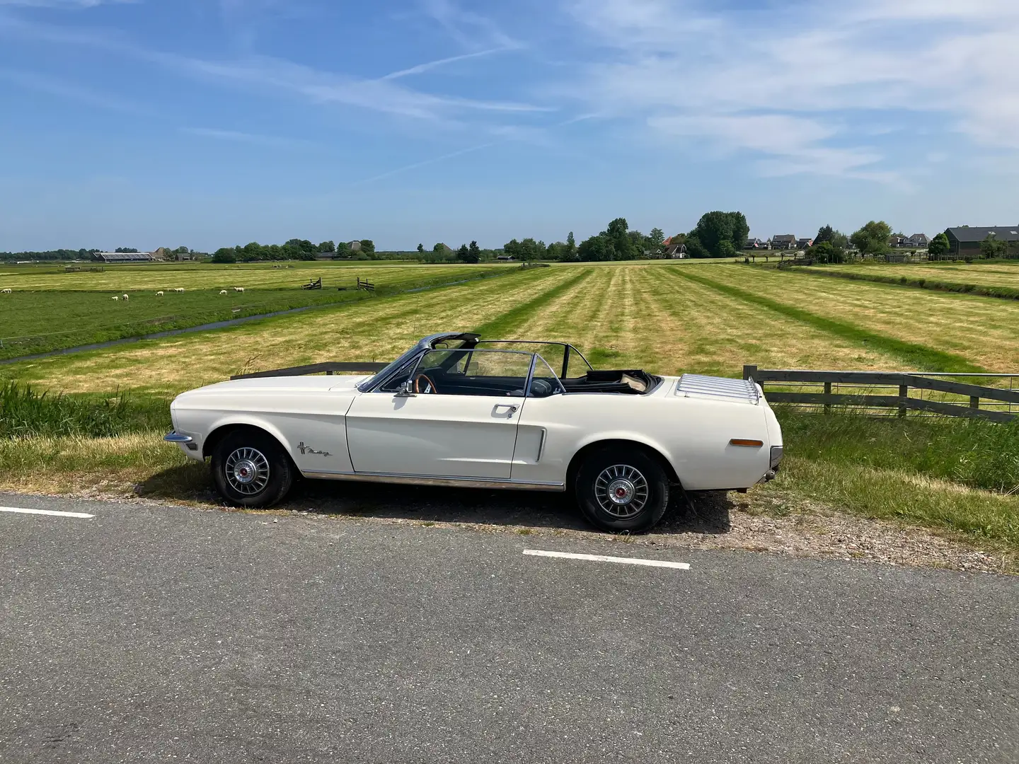 Ford Mustang Cabriolet Wit - 2