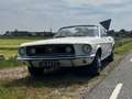 Ford Mustang Cabriolet Wit - thumbnail 6