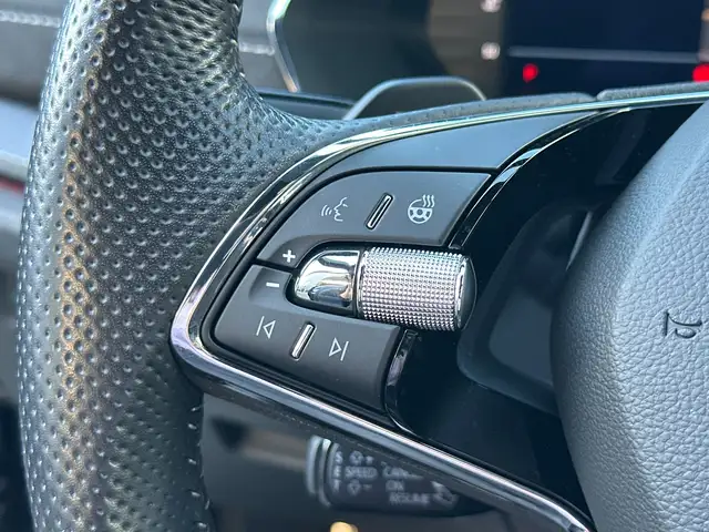 Skoda Octavia view 15