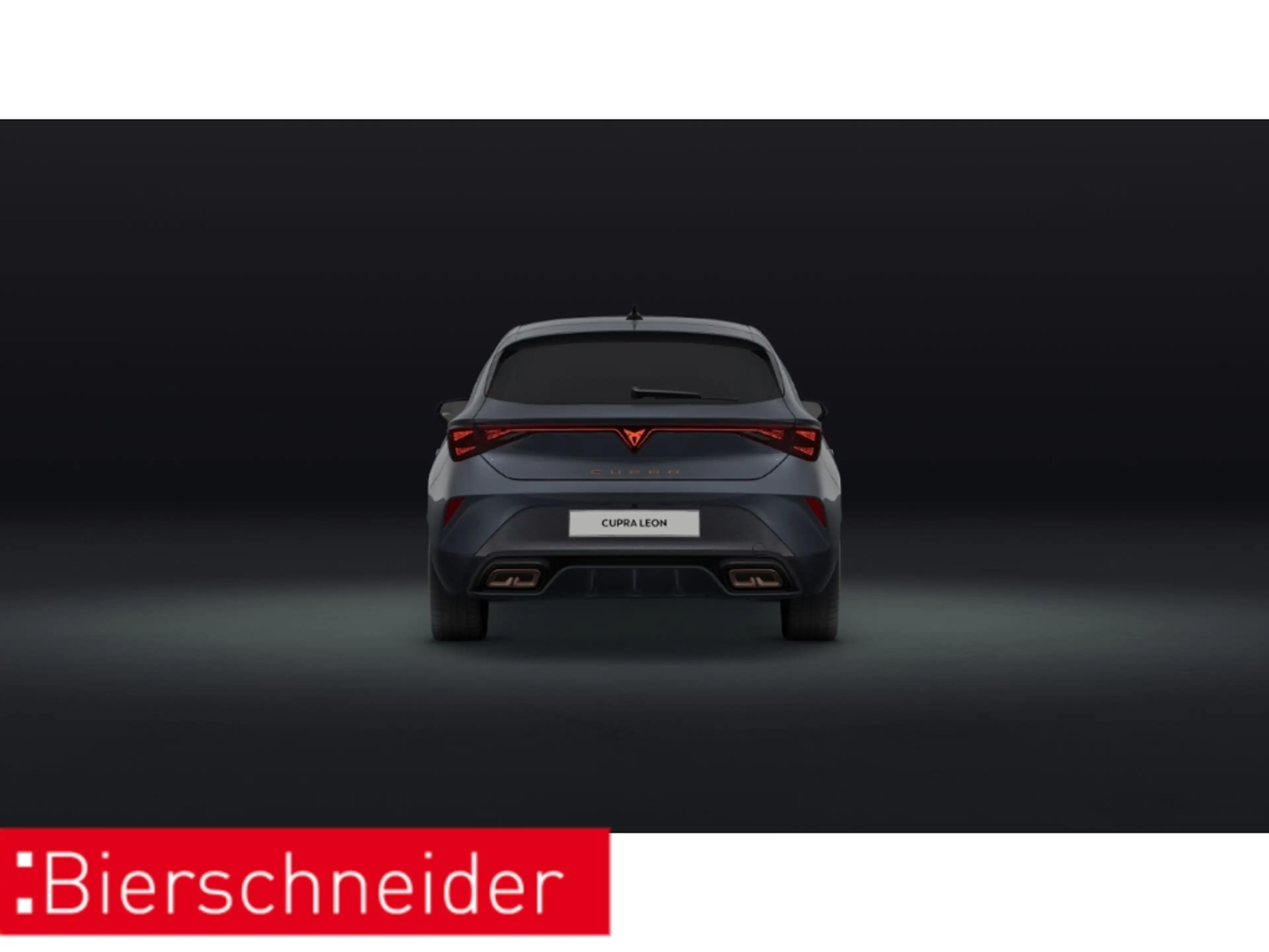 CUPRA Leon e-HYBRID DSG LED NAVI KAMERA KESSY WP — photo 8
