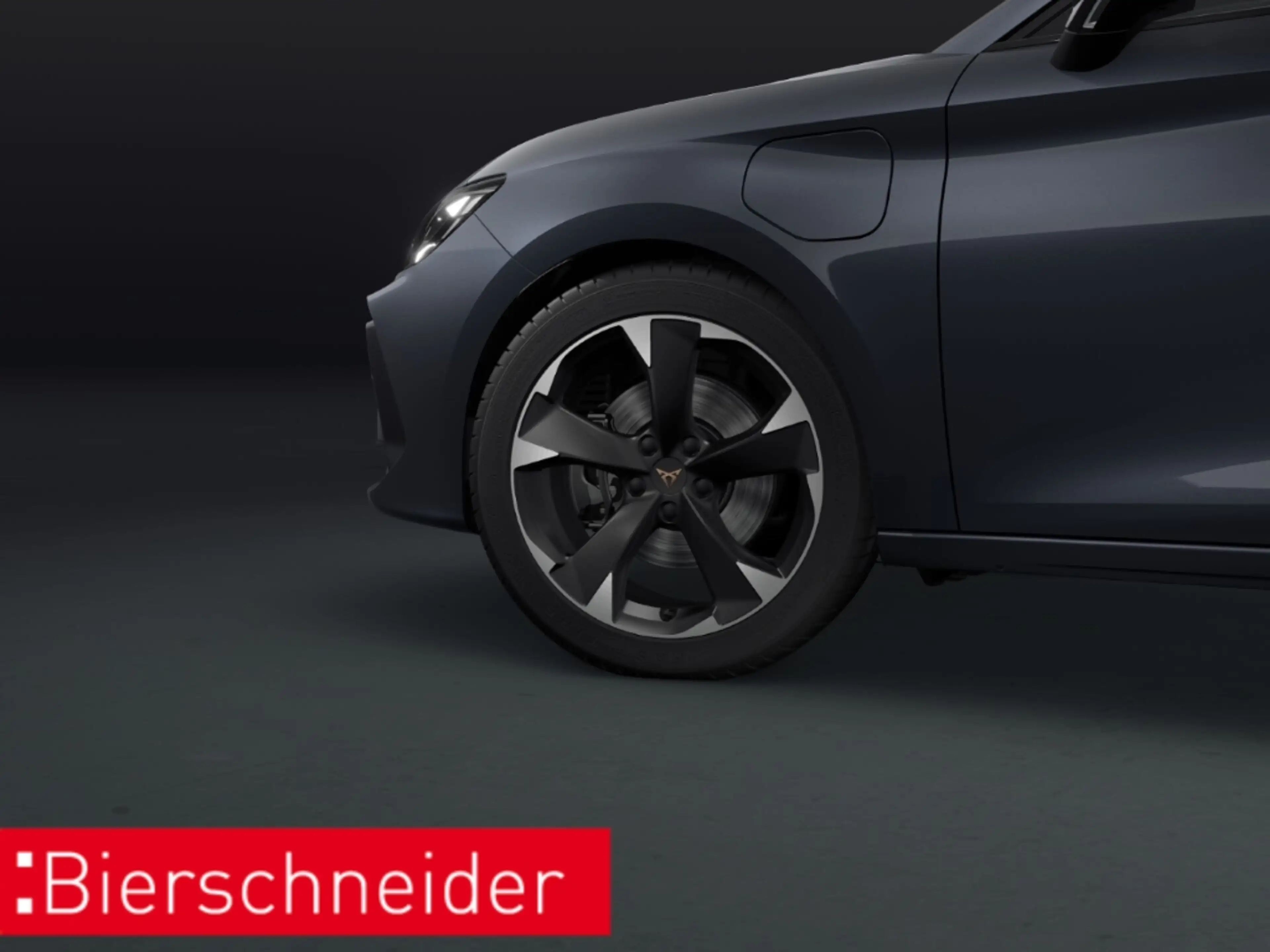 CUPRA Leon e-HYBRID DSG LED NAVI KAMERA KESSY WP — photo 13
