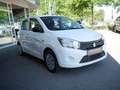 Suzuki Celerio 1.0 Basic Weiß - thumbnail 4