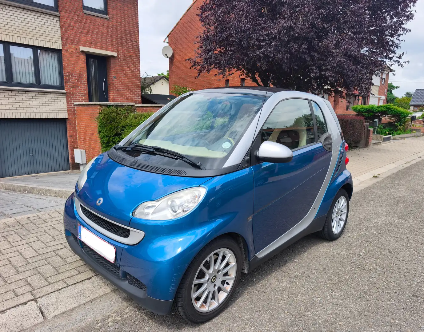 smart forTwo Coupe 1.0i Mhd Passion Softouch Bleu - 1