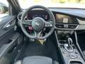 Alfa Romeo Giulia Giulia 2.9 Quadrifoglio Aut. 520 RWD Quadrifoglio Rojo - thumbnail 21
