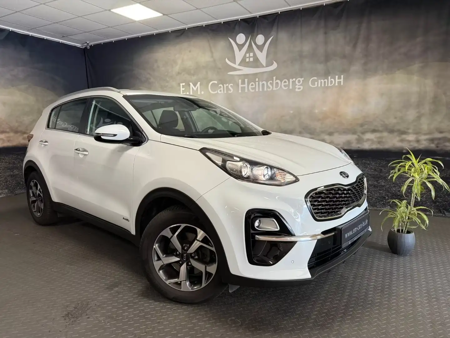 Kia Sportage Kia Sportage 1.6 CRDi Vision 4WD Rückf. Kamera Weiß - 1