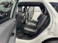 Dodge Durango 3.6 GT AWD Plus/Distronic/7-Sitze/Memory Weiß - thumbnail 20