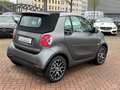 smart forTwo Cabrio FINAL EDITION EXCLUSIVE PRIME VOLL Grey - thumbnail 5
