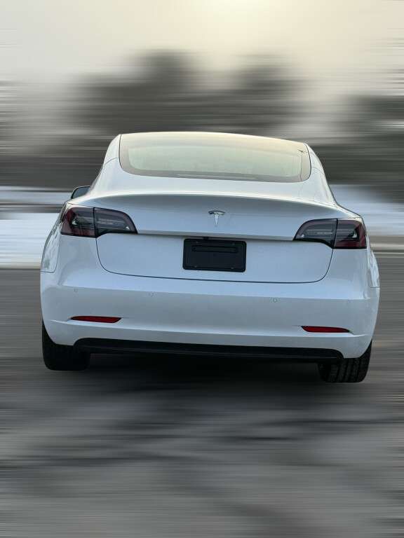 2020 Tesla Model 3 Standard Range Plus thumb 8