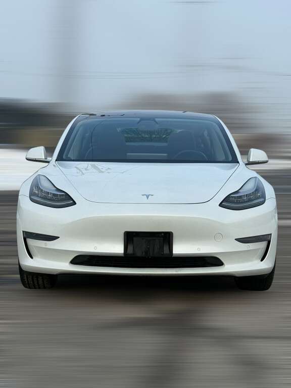 2020 Tesla Model 3 Standard Range Plus alt 2