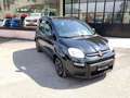 Fiat Panda 1.0 F. HYBRID CITY LIFE 5P 70 CV."OK NEOPATENTATI" Noir - thumbnail 6