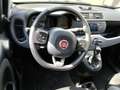 Fiat Panda 1.0 F. HYBRID CITY LIFE 5P 70 CV."OK NEOPATENTATI" Noir - thumbnail 7