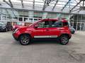 Fiat Panda 1.0 FireFly 70cv S&S Hybrid Cross Rosso - thumbnail 2