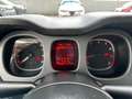 Fiat Panda 1.0 FireFly 70cv S&S Hybrid Cross Rosso - thumbnail 13