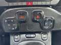Fiat Panda 1.0 FireFly 70cv S&S Hybrid Cross Rosso - thumbnail 15