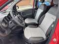 Fiat Panda 1.0 FireFly 70cv S&S Hybrid Cross Rosso - thumbnail 9