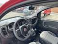 Fiat Panda 1.0 FireFly 70cv S&S Hybrid Cross Rosso - thumbnail 8