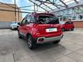 Fiat Panda 1.0 FireFly 70cv S&S Hybrid Cross Rosso - thumbnail 3
