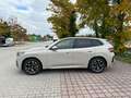 BMW X3 X3 20d xDrive Beige - thumbnail 10