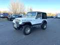 Jeep Wrangler YJ 2.5 L Essence 105 CV Alb - thumbnail 3