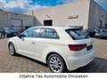 Audi A3 1.6 TDI Attraction"Lückenl.S-Heft"8fach bereift Weiß - thumbnail 3