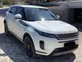 Land Rover Range Rover Evoque Pure S Bianco - thumbnail 8